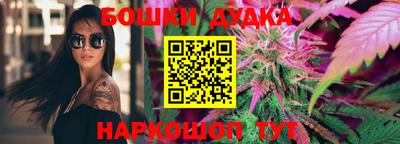 spice Камышлов