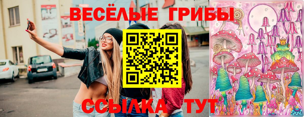 Кудрово  Галлюциногенные грибы мицелий  Вход с VPN 