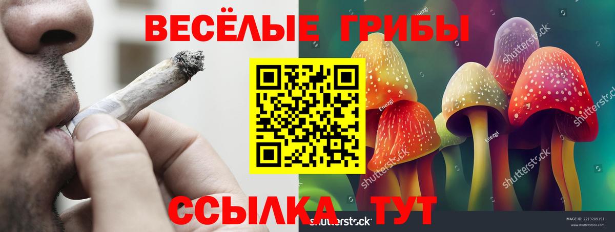Галлюциногенные грибы прущие грибы Кудрово